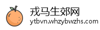 戎马生郊网